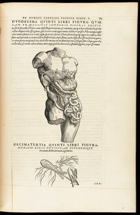 Andreae Vesalii Bruxellensis, scholae medicorum Patauinae professoris De humani corporis fabrica libri septem.