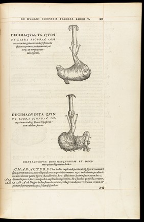 Andreae Vesalii Bruxellensis, scholae medicorum Patauinae professoris De humani corporis fabrica libri septem.