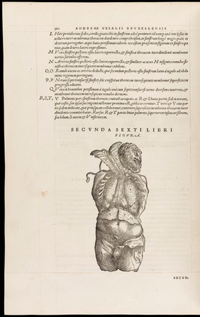 Andreae Vesalii Bruxellensis, scholae medicorum Patauinae professoris De humani corporis fabrica libri septem.