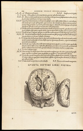 Andreae Vesalii Bruxellensis, scholae medicorum Patauinae professoris De humani corporis fabrica libri septem.