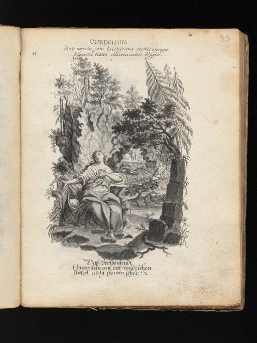 Allegorical and sacred subjects, and hermits. Drawings, ca. 1740.