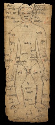 Bloodletting points and moxa points. Ink drawing, Tibet.