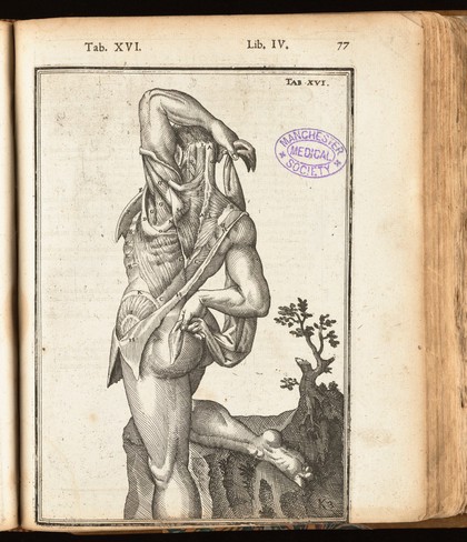 De humani corporis fabrica libri decem. Tabulis XCIIX. aeri incisis ... exornati ... Opus posthumum / [Edited by] Daniel Bucretius.