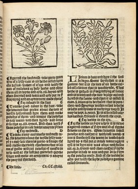 The grete herball whiche gyueth parfyt knowlege and vnderstandyng of all maner of herbes and there gracyous vertues ... Also it geveth parfyte vnderstandynge of the booke lately prynted by me (Peter treueris) named the noble experiens of the vertuous handwarke of surgery.