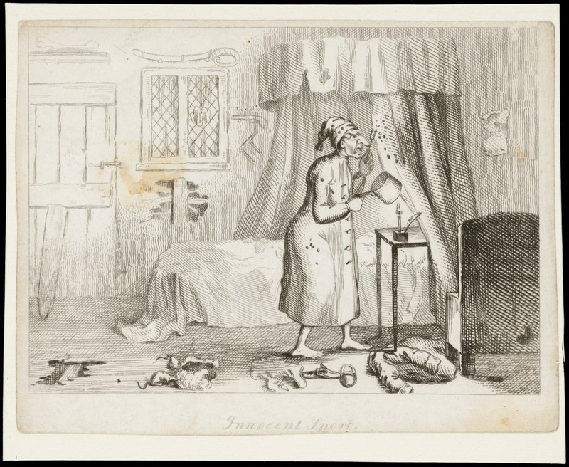 A man in bedclothes prising insects (?) off his bed-curtains with a fork into a saucepan. Etching by T.L. Busby, ca. 1826., [1826?], by Thomas Lord Busby