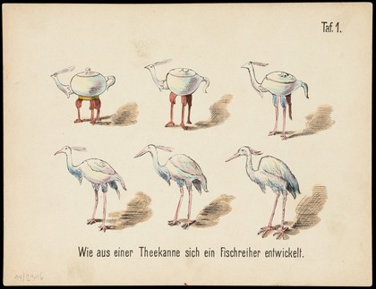 Evolution of household articles, animals etc. according to Darwin's doctrine. Colour lithographs by Fr. Schmidt, ca. 187-(?).