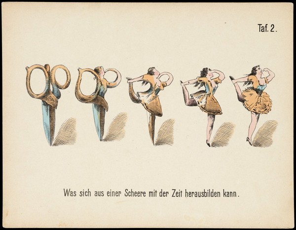Evolution of household articles, animals etc. according to Darwin's doctrine. Colour lithographs by Fr. Schmidt, ca. 187-(?).