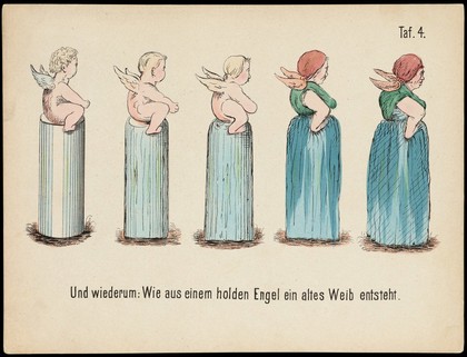 Evolution of household articles, animals etc. according to Darwin's doctrine. Colour lithographs by Fr. Schmidt, ca. 187-(?).