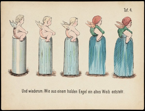 Evolution of household articles, animals etc. according to Darwin's doctrine. Colour lithographs by Fr. Schmidt, ca. 187-(?).