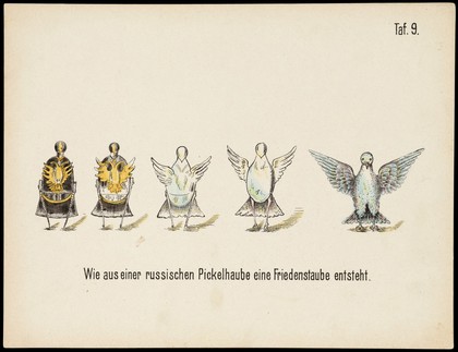 Evolution of household articles, animals etc. according to Darwin's doctrine. Colour lithographs by Fr. Schmidt, ca. 187-(?).