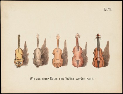 Evolution of household articles, animals etc. according to Darwin's doctrine. Colour lithographs by Fr. Schmidt, ca. 187-(?).