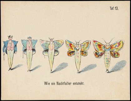 Evolution of household articles, animals etc. according to Darwin's doctrine. Colour lithographs by Fr. Schmidt, ca. 187-(?).