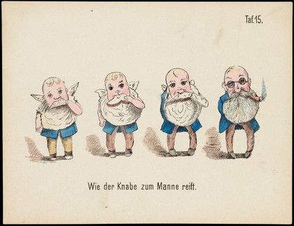 Evolution of household articles, animals etc. according to Darwin's doctrine. Colour lithographs by Fr. Schmidt, ca. 187-(?).