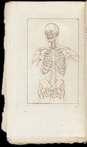 Élémens anatomiques d'ostéologie et de myologie à l'usage des peintres et sculpteurs / par J.H. Lavater.