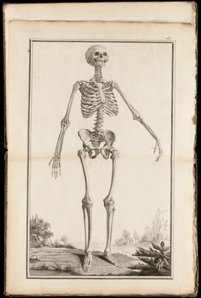 Élémens d'anatomie à l'usage des peintres, des sculpteurs, et des amateurs, ornés de quatorze planches en taille-douce, représentant au naturel tous les os de l'adulte & ceux de l'enfant du premier áge, avec leur explication / Par m. Suë, le fils ... Première partie.