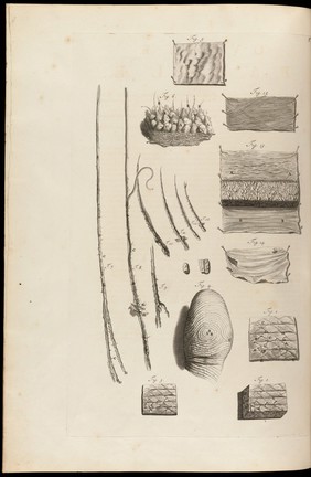 Anatomia humani corporis / centum & quinque tabulis, per artificiosiss. G. de Lairesse ad vivum delineatis, demonstrata.