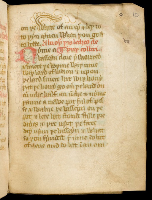 Medical Recipe Collection