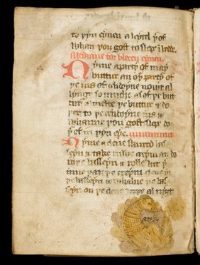 Medical Recipe Collection