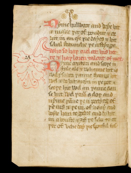 Medical Recipe Collection