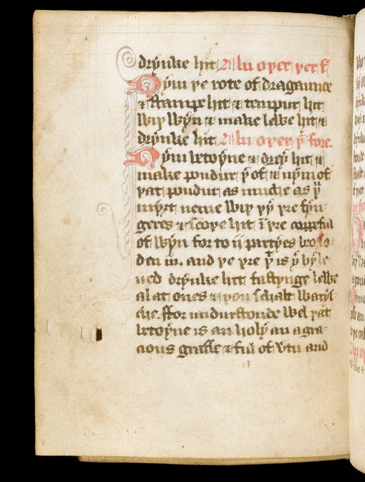 Medical Recipe Collection