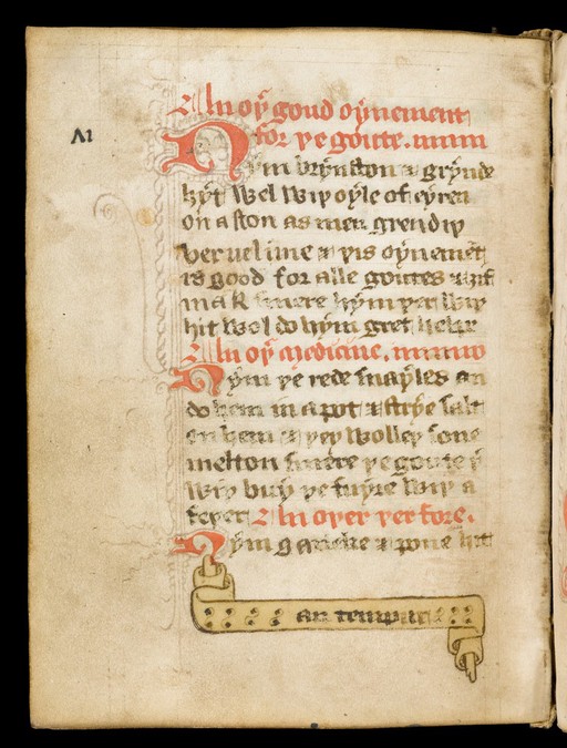 Medical Recipe Collection
