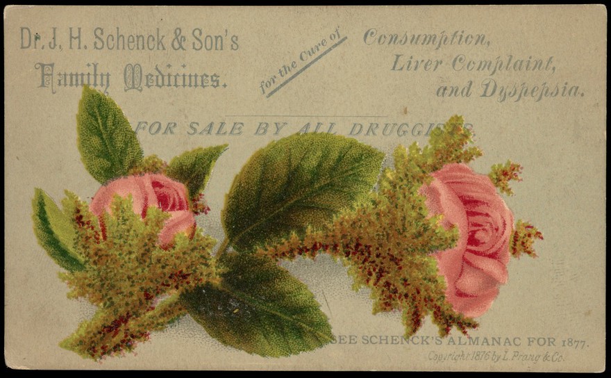 Dr. J.H. Schenck & Son's family medicines for the cure of consumption, liver complaint, and dyspepsia : for sale by all druggists / Dr. J.H. Schenck & Son.