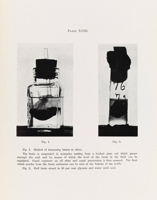 Transactions of the Seventh Congress held in British India, December 1927 / Far Eastern Association of Tropical Medicine ; edited by J. Cunningham.