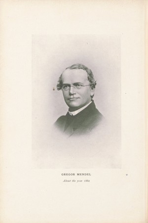 view Gregor Mendel, 1862, illustration to biographical note about Mendel in 'Principles of Heredity' by William Bateson, Cambridge 1909