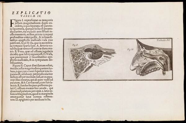 Tractatus de organo auditus continens structuram, usum et morbos omnium auris partium / per Dn. Du Verney ... è Gallico Latinè versus.