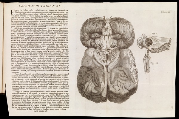 Tractatus de organo auditus continens structuram, usum et morbos omnium auris partium / per Dn. Du Verney ... è Gallico Latinè versus.