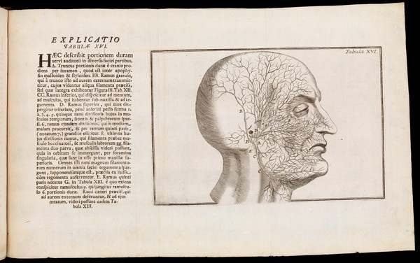 Tractatus de organo auditus continens structuram, usum et morbos omnium auris partium / per Dn. Du Verney ... è Gallico Latinè versus.