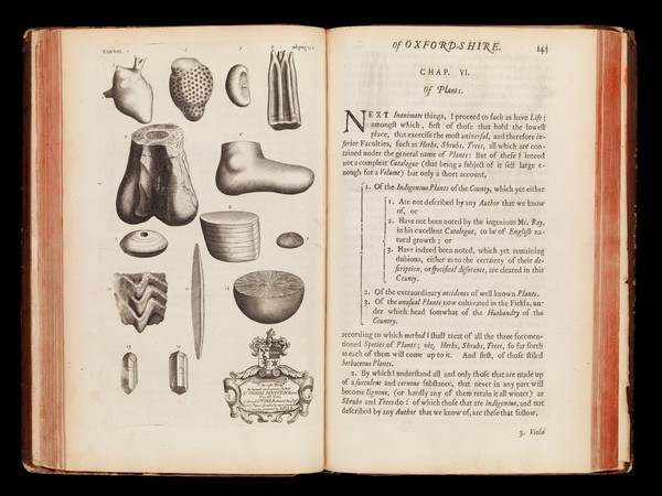 The natural history of Oxford-shire, being an essay toward the natural history of England / By R[ob.] P[lot] LL.D.