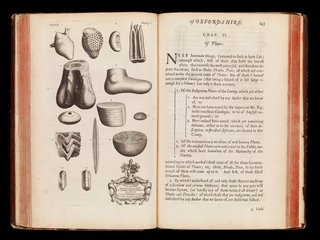 The natural history of Oxford-shire, being an essay toward the natural history of England / By R[ob.] P[lot] LL.D.