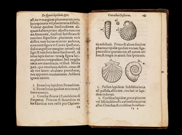 De omni rerum fossilium genere, gemmis, lapidibus, metallis, et hujusmodi, libri aliquot, plerique nunc primum editi ... / [Konrad Gesner].