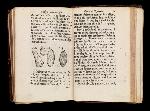 De omni rerum fossilium genere, gemmis, lapidibus, metallis, et hujusmodi, libri aliquot, plerique nunc primum editi ... / [Konrad Gesner].