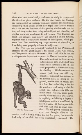 Zoology: a systematic account of the general structure, habits, instincts, and uses of the principal families of the animal kingdom / [William Benjamin Carpenter].