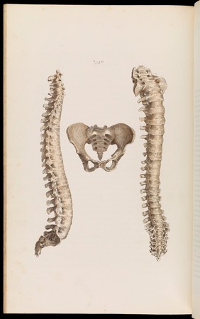 An atlas of anatomical plates of the human body ... / by Frederic John Mouat.