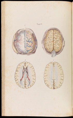 An atlas of anatomical plates of the human body ... / by Frederic John Mouat.