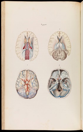 An atlas of anatomical plates of the human body ... / by Frederic John Mouat.