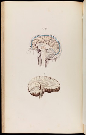 An atlas of anatomical plates of the human body ... / by Frederic John Mouat.