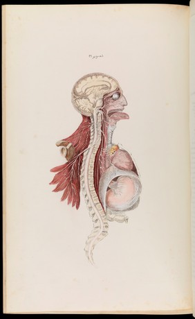 An atlas of anatomical plates of the human body ... / by Frederic John Mouat.