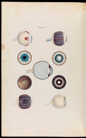 An atlas of anatomical plates of the human body ... / by Frederic John Mouat.