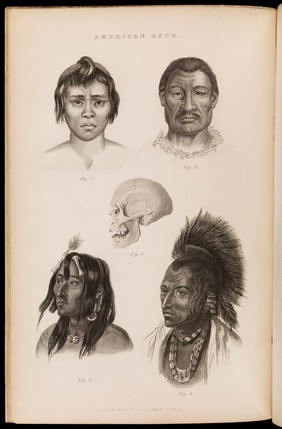 The animal kingdom arranged after its organization. Forming a natural history of animals, and an introduction to comparative anatomy / By the late Baron Georges Cuvier, Tr. and adapted to the present state of science. The Mammalia, birds, and reptiles, by Edward Blyth, the fishes and Radiata, by Robert Mudie, the molluscous animals by George Johnston, M.D., the articulated animals, by J. O. Westwood, F.L.S.