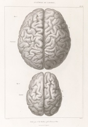 Anatomie comparée du système nerveux considéré dans ses rapports avec l'intelligence / Par Fr. Leuret et P. Gratiolet. Accompagnée d'un atlas de 32 planches dessinées d'après nature et gravées.