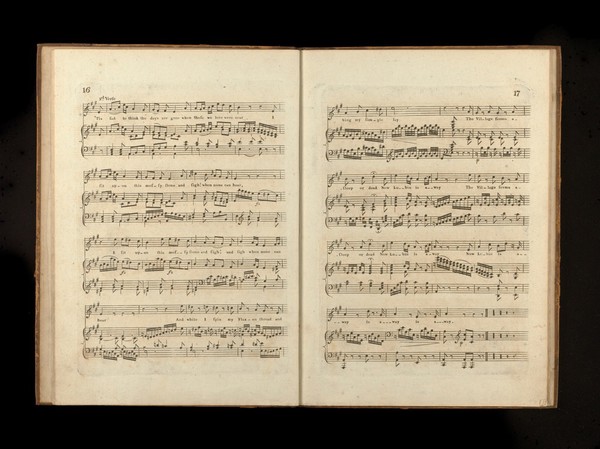 Dr. Haydn's VI original canzonettas : for the voice with accompaniment for the pianoforte dedicated to Mrs John Hunter.