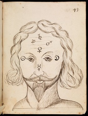 Illustration of man with Beard