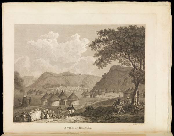 Travels in the interior districts of Africa: performed under the direction and patronage of the African Association, in the years 1795, 1796, and 1797 ... / by Mungo Park ; With an appendix, containing geographical illustrations of Africa. By Major Rennell.