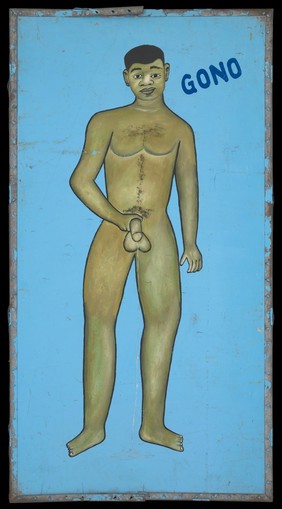 Disease and organs treated by a vodoo practitioner in Benin. Acrylic paintings, 199-.