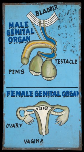 Disease and organs treated by a vodoo practitioner in Benin. Acrylic paintings, 199-.