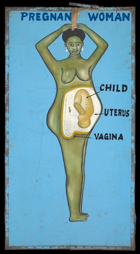 Disease and organs treated by a vodoo practitioner in Benin. Acrylic paintings, 199-.